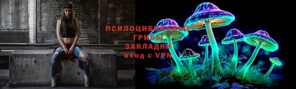 spice Аркадак