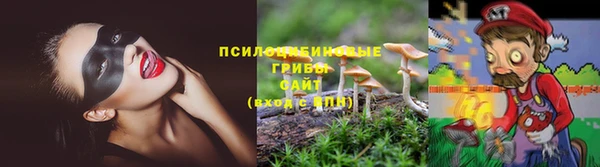 МДПВ Армянск