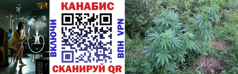 Бошки Шишки MAZAR что такое Валдай